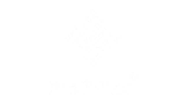 ProfiPilot Group logo